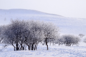 大雪纷飞写真机使用注意事项